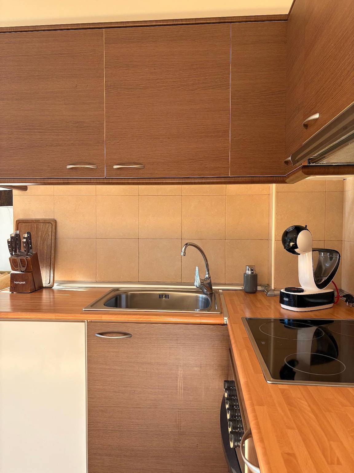 Apartamento vacacional entero, Planta baja Aüt 1 con jardín privado en la Vall de Boí in Pla de l'Ermita, Valle de Bohí