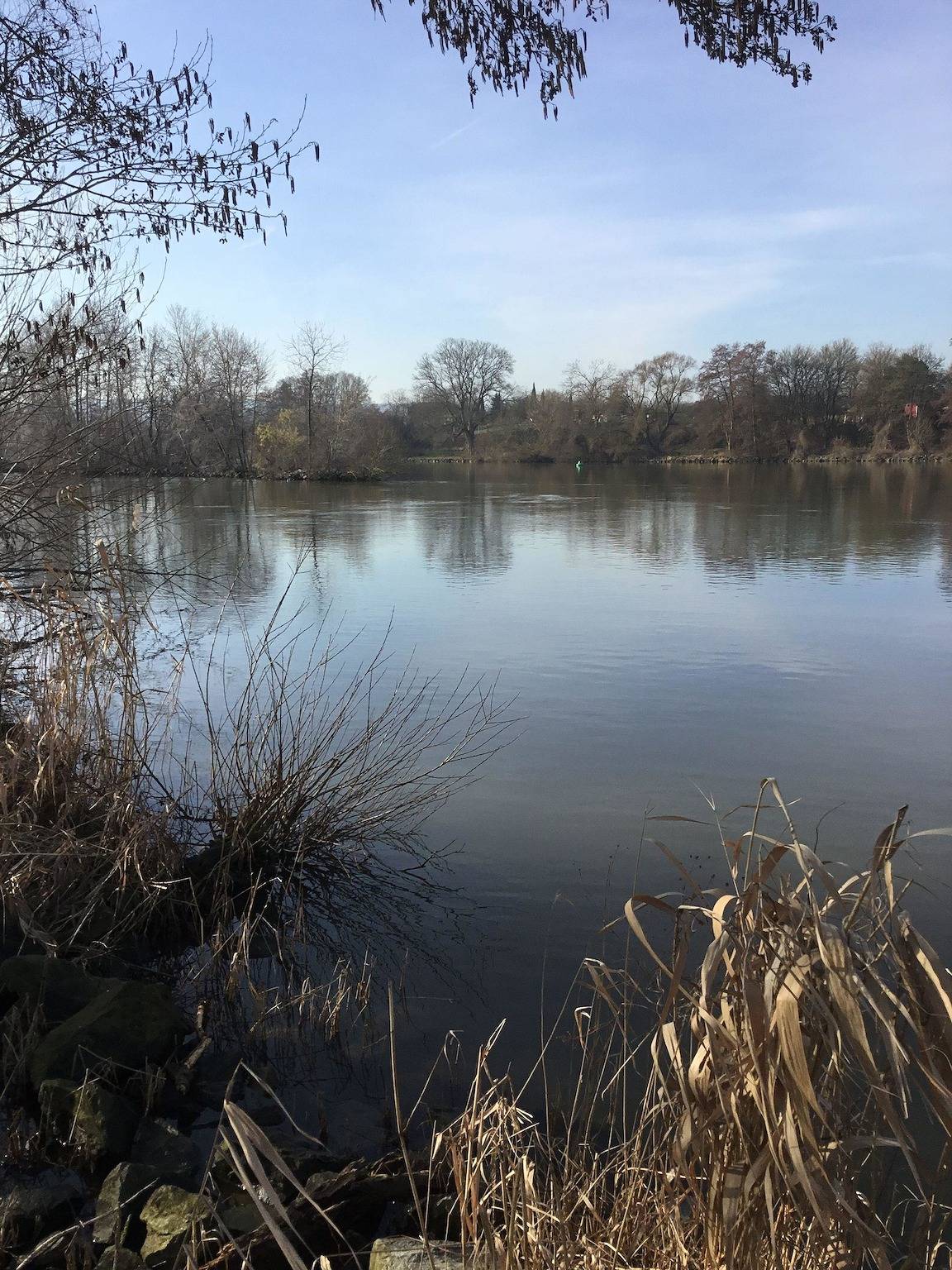Ganze Ferienwohnung, Ferienwohnung Bayrisch Nizza in Sulzbach am Main, Main-Odenwald