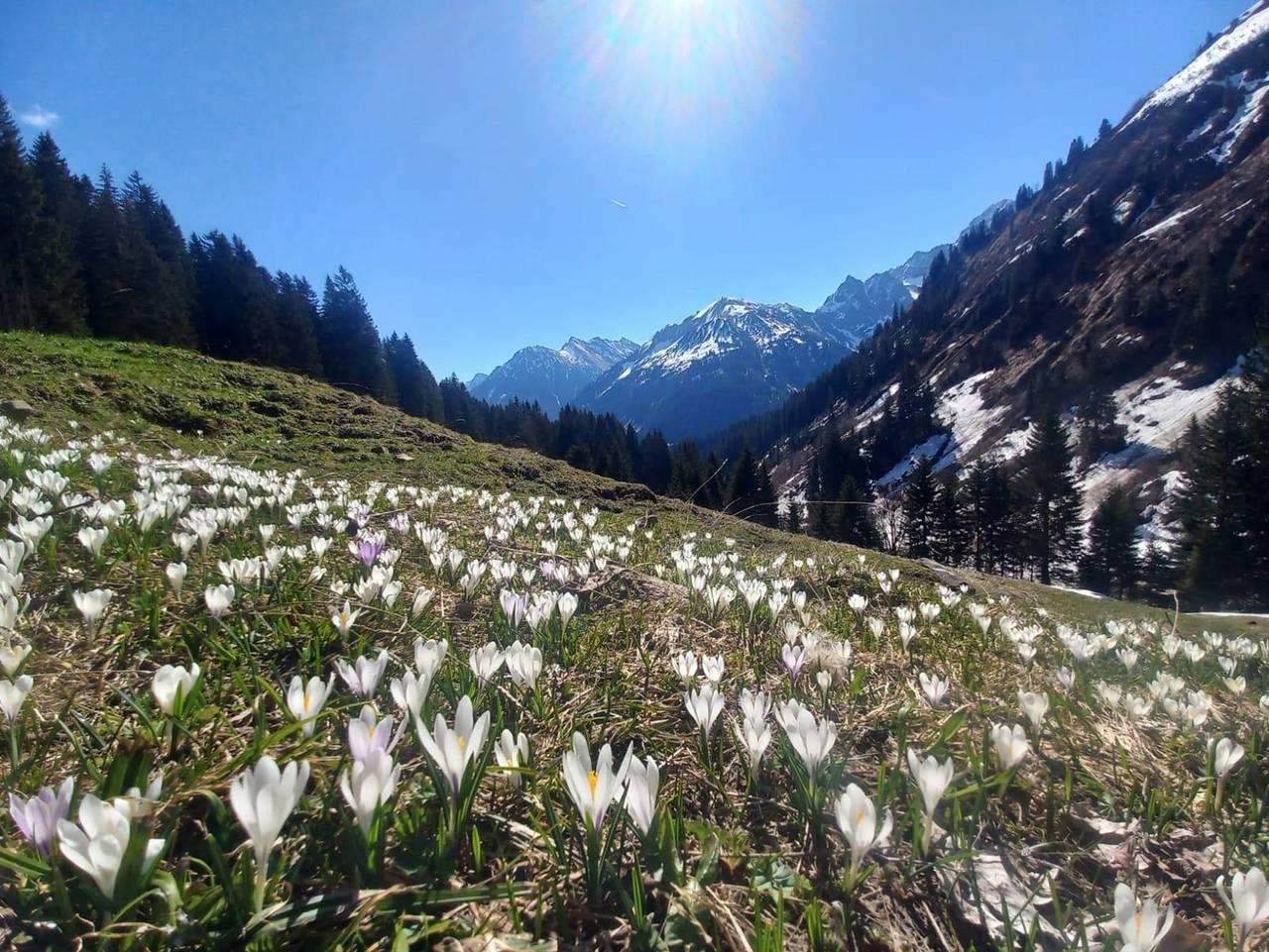 Ganze Ferienwohnung, Bergjuwel Kleinwalsertal - Ferienwohnung Bergjuwel mit 1 Schlafraum in Hirschegg Kleinwalsertal, Mittelberg