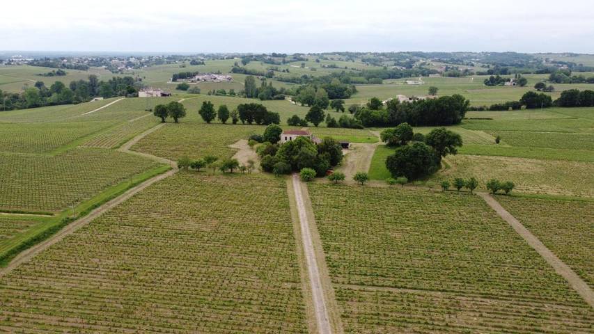 Chambre d’hôte pour 2 personnes, avec terrasse ainsi que vue et jardin dans Port de Bourg-sur-Gironde - 3