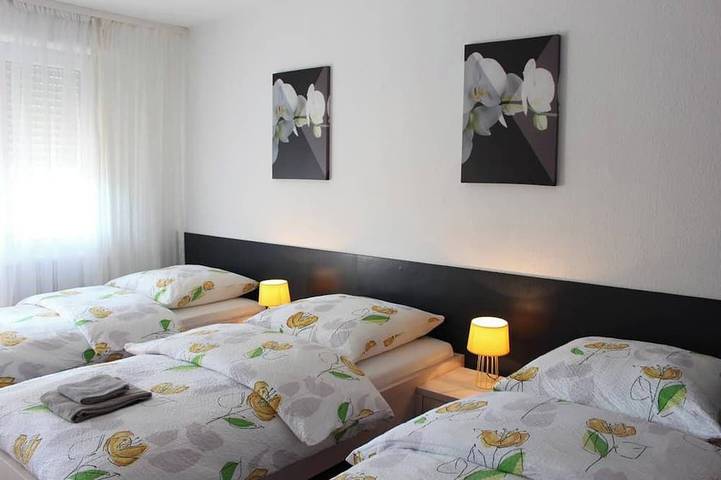 Appartement entier, Studio near Basel Airport in Saint-Louis, Région de Mulhouse