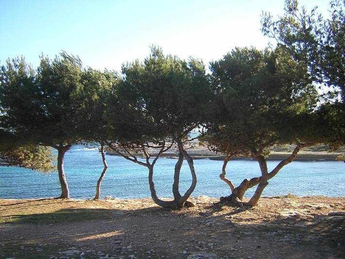 Location de vacances pour 2 personnes, avec jardin dans Couronne Vieille - 4
