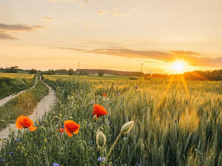 Ferienwohnung für 3 Personen, mit Terrasse in Krummin - 4