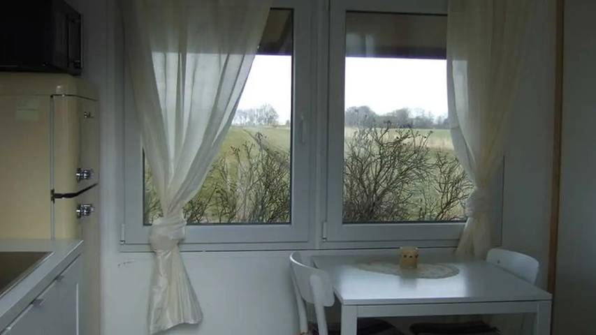 Ferienhaus für 2 Personen, mit Terrasse und Garten in Kollmar - 4