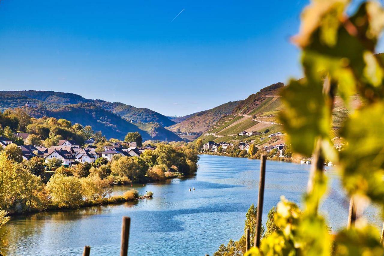 Weinhotel Mayer in Zell Stadt (Mosel), Zell (Mosel)