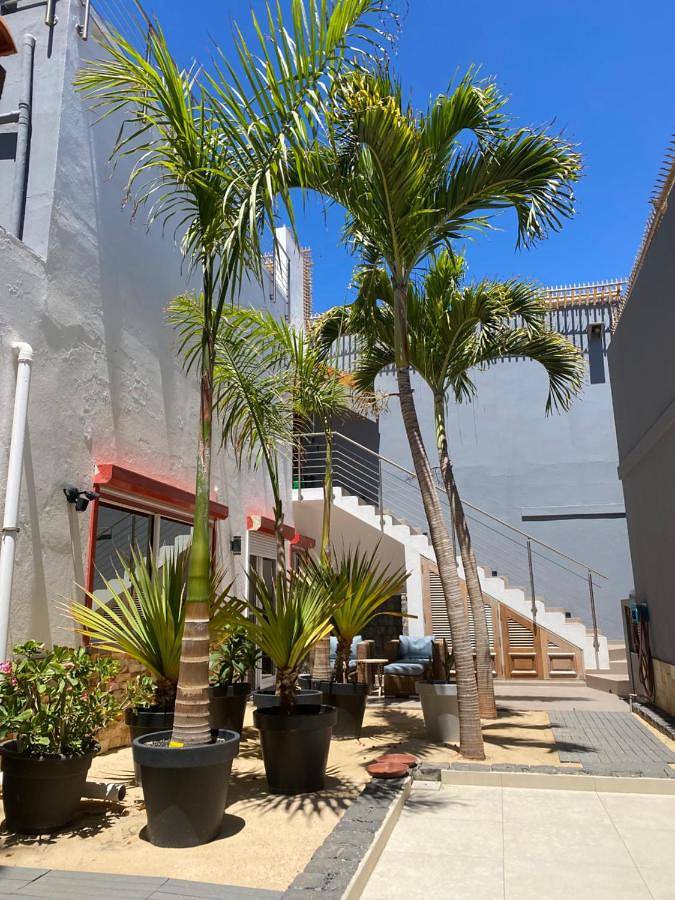 Villa pour 4 personnes, avec jardin et vue, animaux acceptés dans Cap-Vert - 2