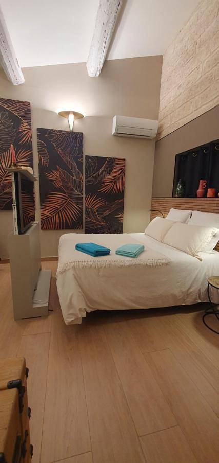Double Room with Spa Bath in Le Cailar, Côte méditerranéenne (France)