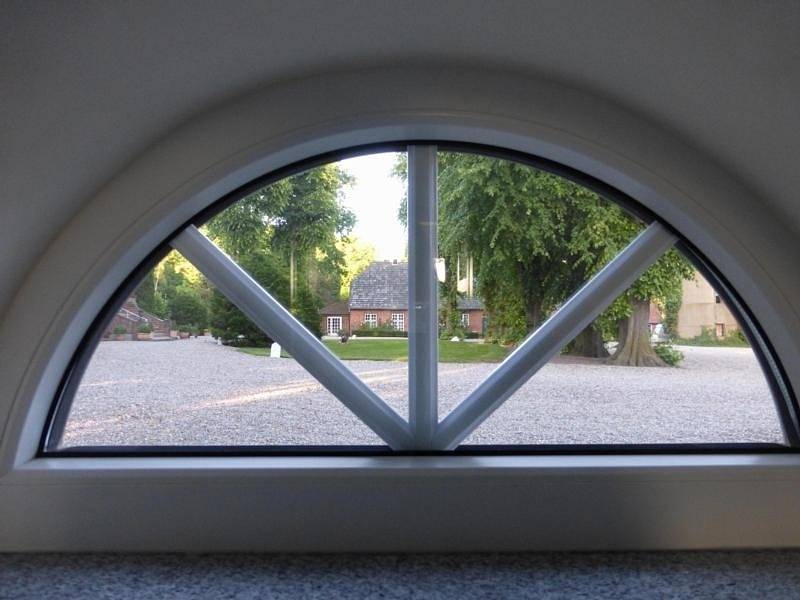 Sechs Schwäne in Gremersdorf, Hohwachter Bucht