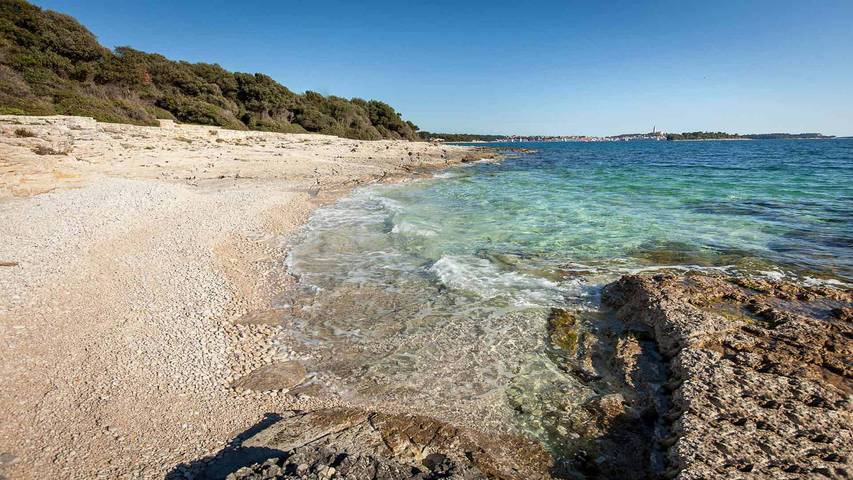 Villa voor 12 personen met zwembad in Rovinj (Istria), Rovinj