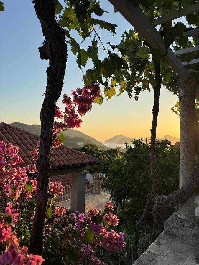 Ferienwohnung für 2 Personen, mit Ausblick und Garten, mit Haustier - 1