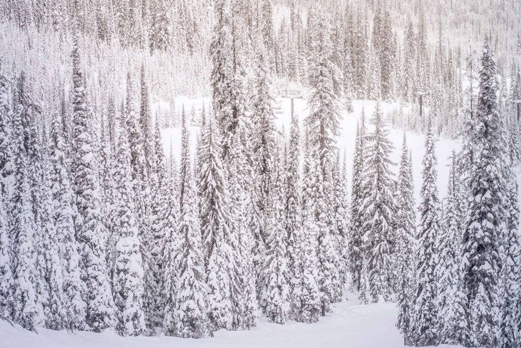 Ganze Wohnung, Warm, einladend und in der Nähe von Aspens Restaurants, Skifahren. Holzkamin. Küche aktualisiert. Gratis Wifi! in Aspen, Aspen Snowmass