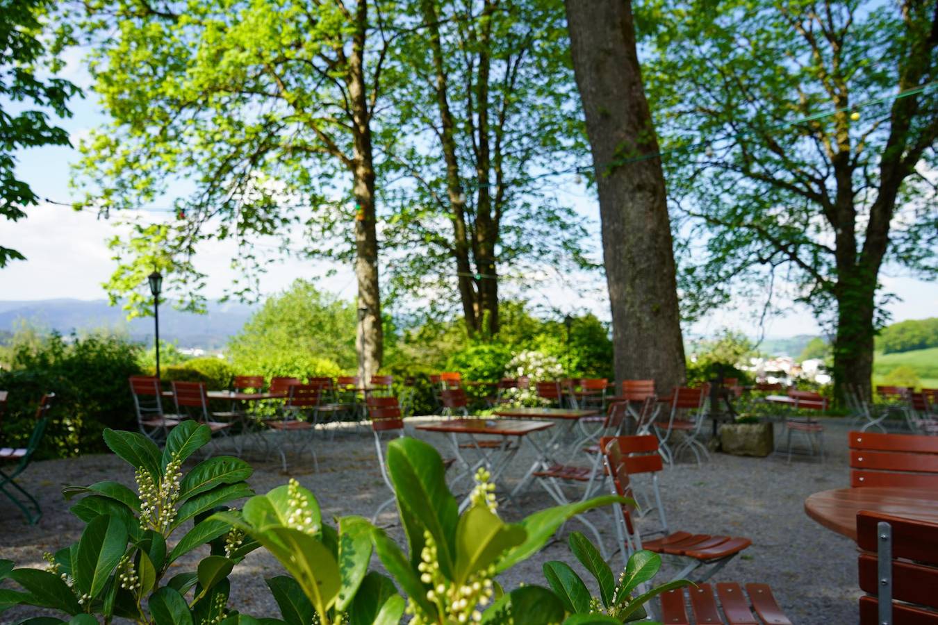 Berggasthof Hinhart - Doppelzimmer in Regen (Baviera), Baviera Oriental