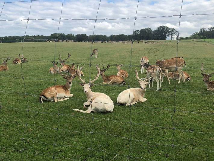 Hütte für 3 Personen, kinderfreundlich im Saarland