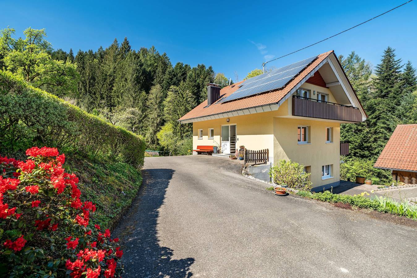 Ganze Wohnung, Apartment „Rose“ mit privater Terrasse, Gemeinschaftsgarten und Wlan in Bad Peterstal-Griesbach, Mittlerer Schwarzwald