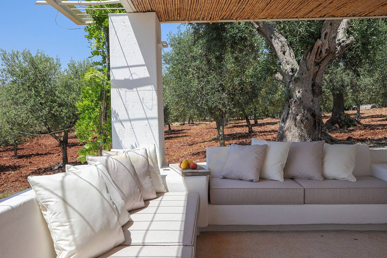 Casa vacanza per 6 persone con giardino in Monopoli, Provincia di Bari
