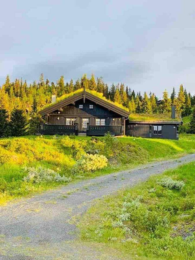 Vakantiehuis voor 23 personen, with sauna and uitzicht as well as terras, met huisdier - 1