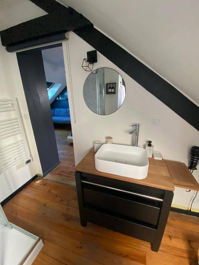 Chambre d’hôte pour 3 personnes, avec jardin à Laval - 4