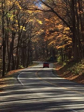 Vacation Apartment for 5 Guests in Gatlinburg, Sevier County, Picture 3