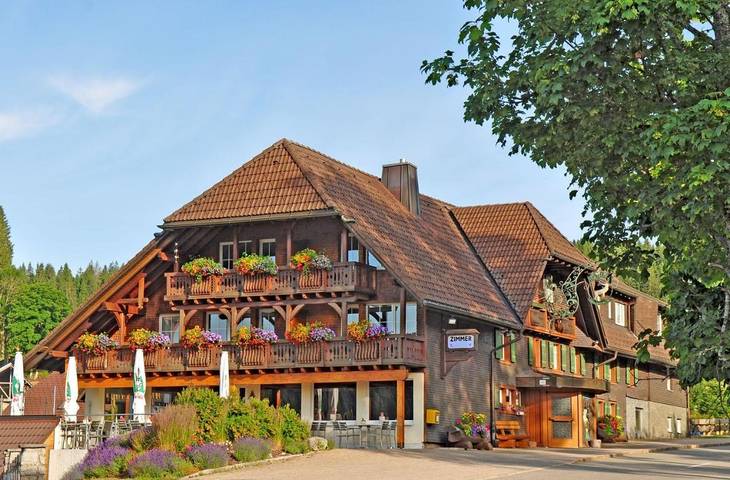 Hotel für 6 Personen, mit Balkon und Terrasse sowie Garten und Ausblick in Schluchsee