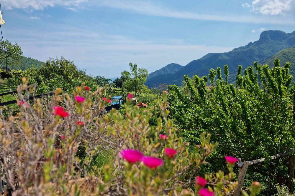 Casa Vacanza "Anna Holiday Home" in Tramonti, Monti Lattari