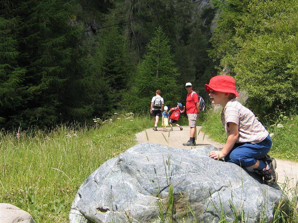Ganze Ferienwohnung, Apartment Hochschober in Kals am Großglockner, Bezirk Lienz