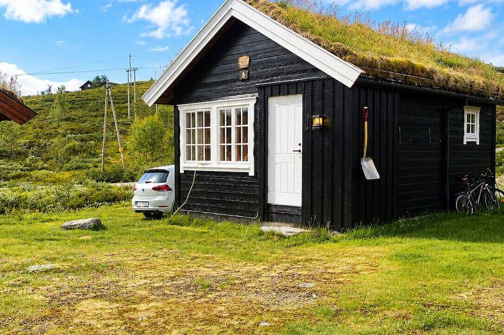 Charming mountain cabin in  beautiful Ustaoset centre in Hol
