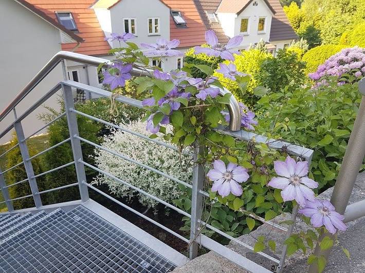 Ferienwohnung für 3 Personen, mit Terrasse in Flensburg - 2