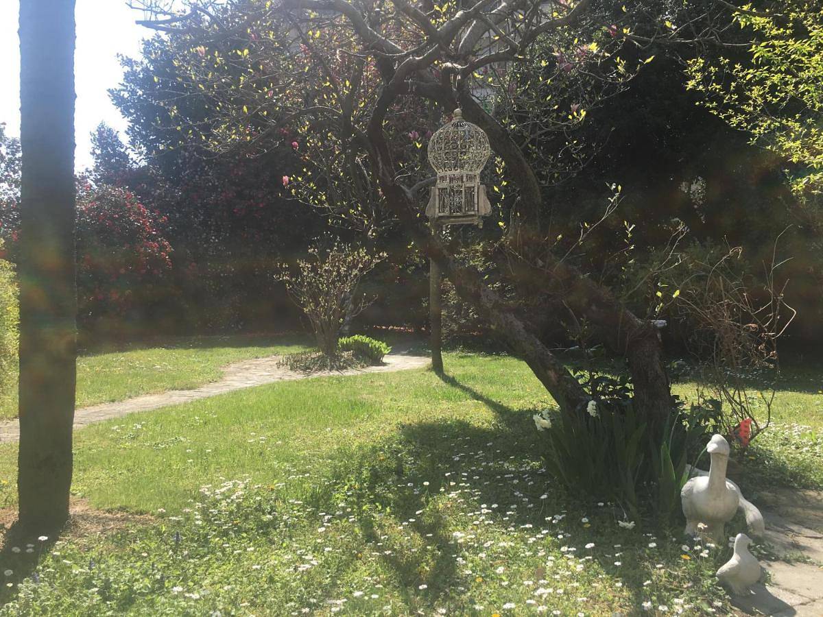 La Pallanzotta in Verbania, Comune di Verbania