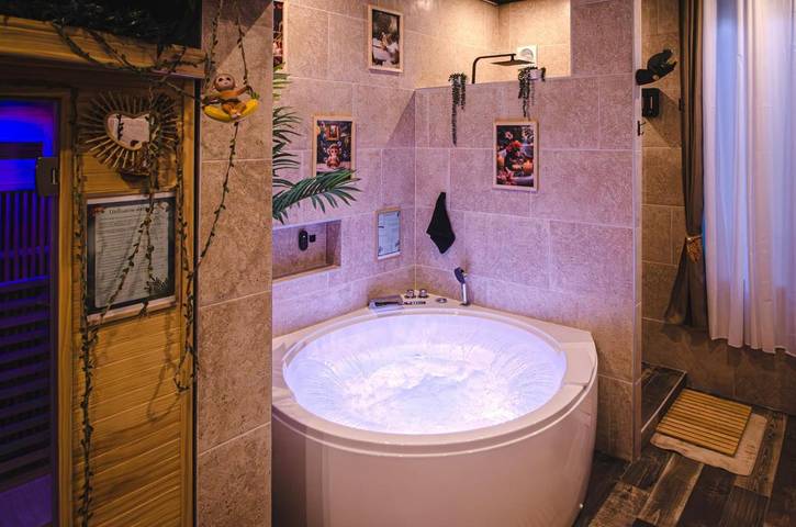 Gîte pour 3 personnes, avec sauna et jacuzzi, animaux acceptés à Château-Thierry - 4