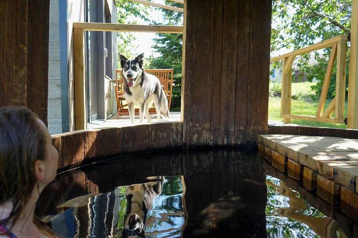 Gîte pour 4 personnes, avec terrasse et jardin à Riocaud - 4