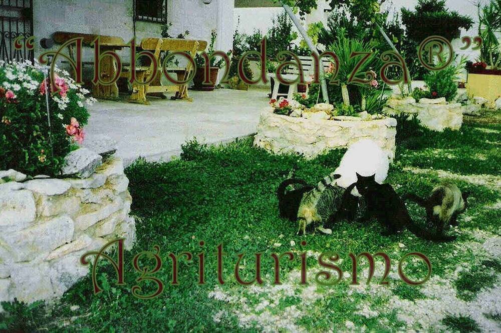 Abbondanza® The Farm House in Alberobello und Umgebung, Bari Provinz