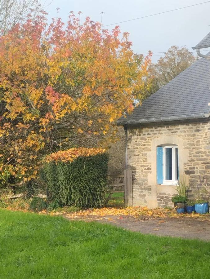 Location de vacances pour 2 personnes, avec jardin ainsi que terrasse et vue, animaux acceptés à Carhaix-Plouguer - 2
