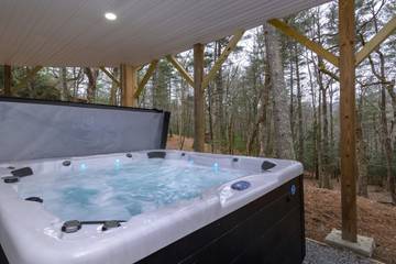 Vacation Home for 14 Guests in Blue Ridge Mountains, North Carolina, Picture 2