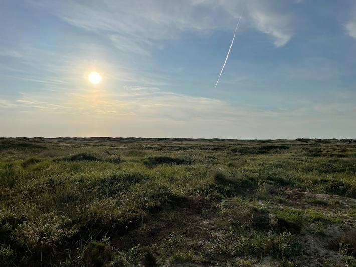 Ferienhaus mit Meerblick für 6 Personen, mit Terrasse und Sauna in Jammerbugt - 2
