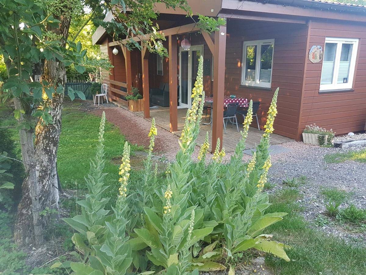 Two-Bedroom Chalet in Frauenberg (homonymie), Sarreguemines