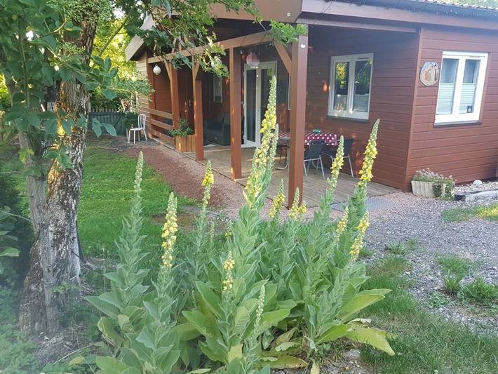 Hôtel pour 4 personnes, avec jardin dans Sarreguemines - 4