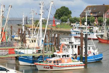 Ferienhaus für 4 Personen in Fedderwardersiel, Butjadingen, Bild 4