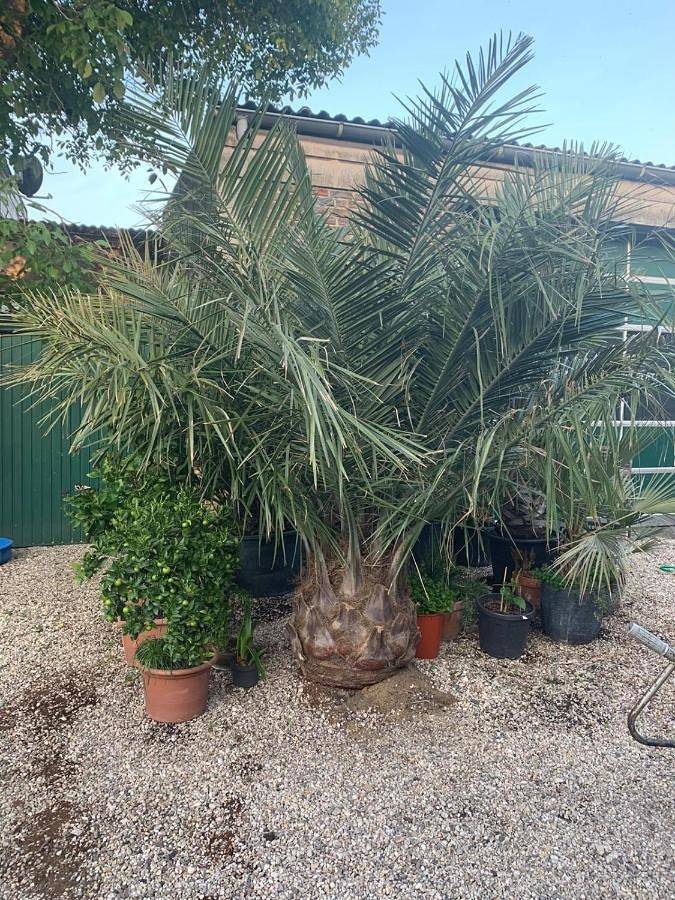 Ganze Wohnung, Villakunterbunt in Nettetal, Niederrhein
