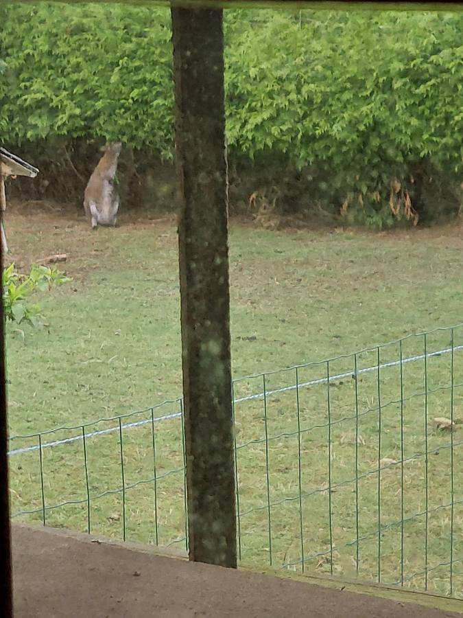 Location de vacances pour 5 personnes, avec vue et jardin, animaux acceptés à Vieux-Vy-sur-Couesnon - 2