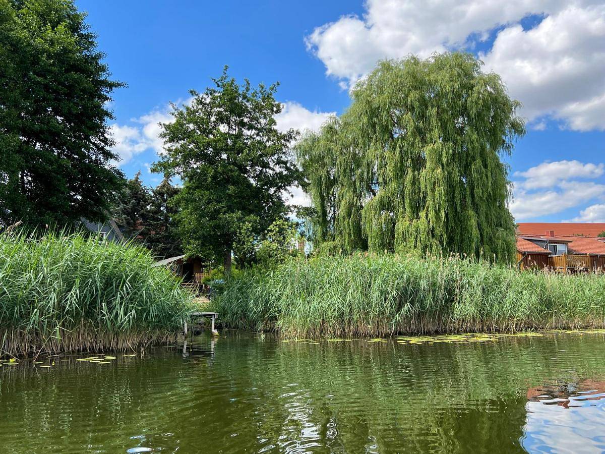 'Glamping' Angelzelt am See mit Steg und Boot (Mecklenburger Seenplatte) in Wanzka, Blankensee (Mecklenburg)