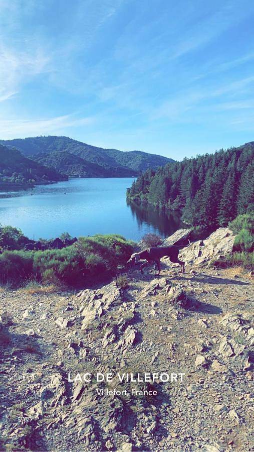 Location de vacances pour 4 personnes, avec terrasse, animaux acceptés dans Saint-André-Capcèze - 4