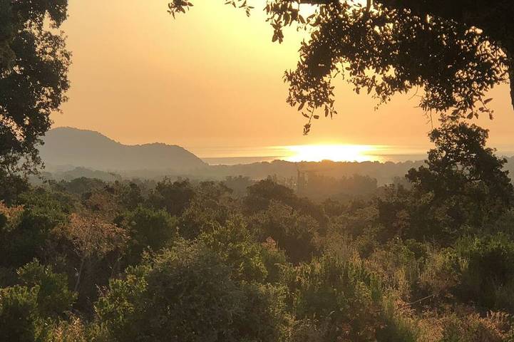 Location de vacances pour 16 personnes, avec Terrasse et Jardin dans Office De Tourisme De Sainte Lucie De Porto Vecchio