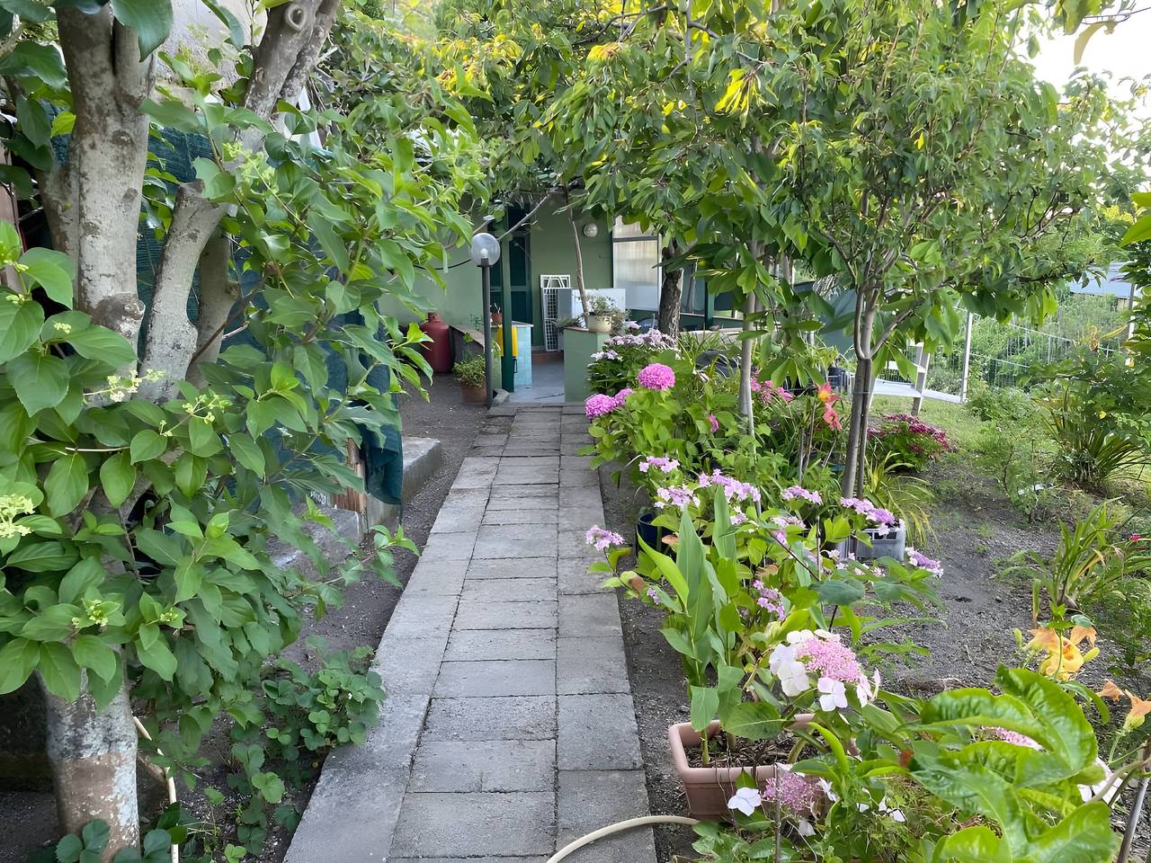 Apartamento entero, Apartamento 'Estudio con Vista al Mar' con Vista al Mar, Wi-Fi y Aire Acondicionado in Barano d'Ischia, Ischia