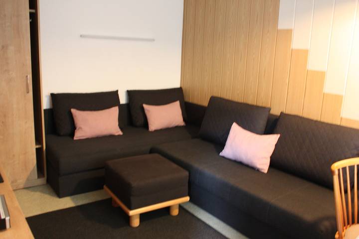 Ganze Ferienwohnung, Apartment/1 Schlafraum/Dusche, Wc in Marktgemeinde Podersdorf am See, Neusiedlersee-Hügelland