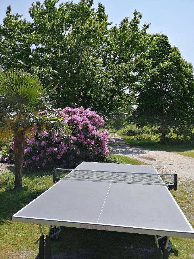 Location de vacances pour 6 personnes, avec piscine ainsi que vue et jardin à Nançay - 3