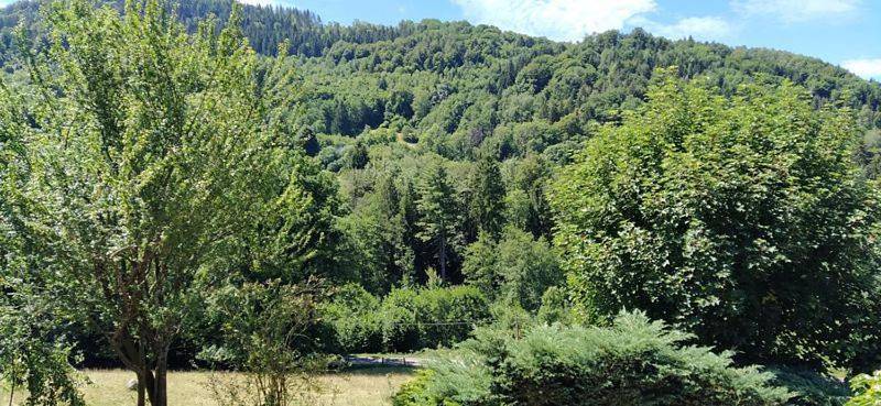 Gîte pour 4 personnes, avec terrasse et vue, animaux acceptés à Vecoux - 3