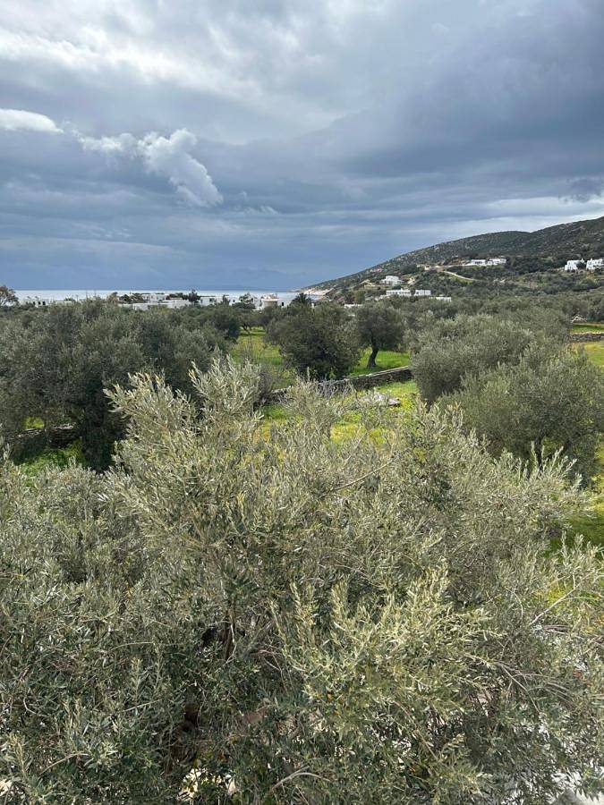 Ferienwohnung für 4 Personen, mit Ausblick und Garten - 1