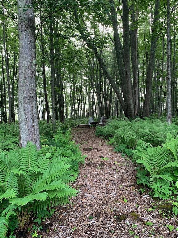 Ganze Wohnung, Ein zweiter Stock Anzug gegenüber von Une, Biddeford Pool, Southern Maine Beac in Biddeford, York County