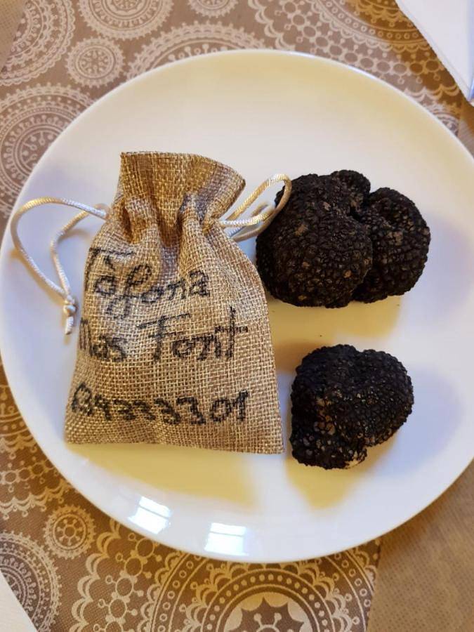 Casa de vacaciones para 17 personas, con piscina además de jacuzzi y terraza - 1