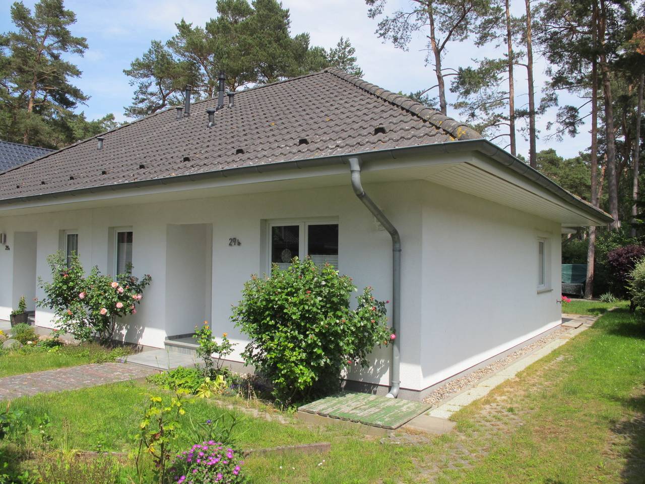 Enikö, foto 6